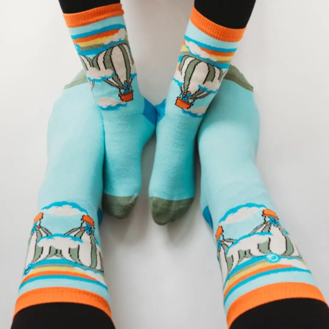 matching family socks