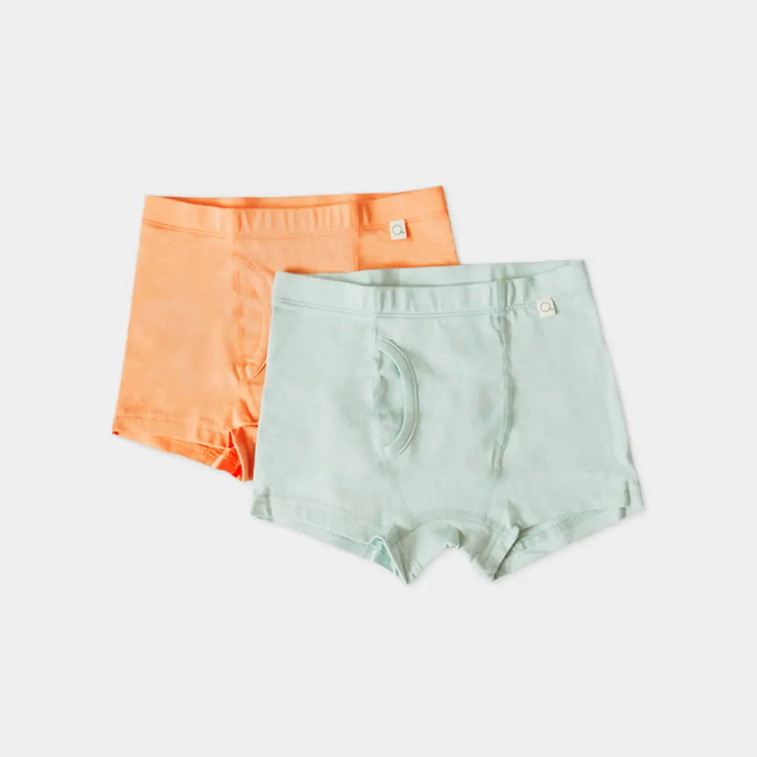 Luca Boxer Organic Cotton Briefs (2 & 4 pack) Q for Quinn™