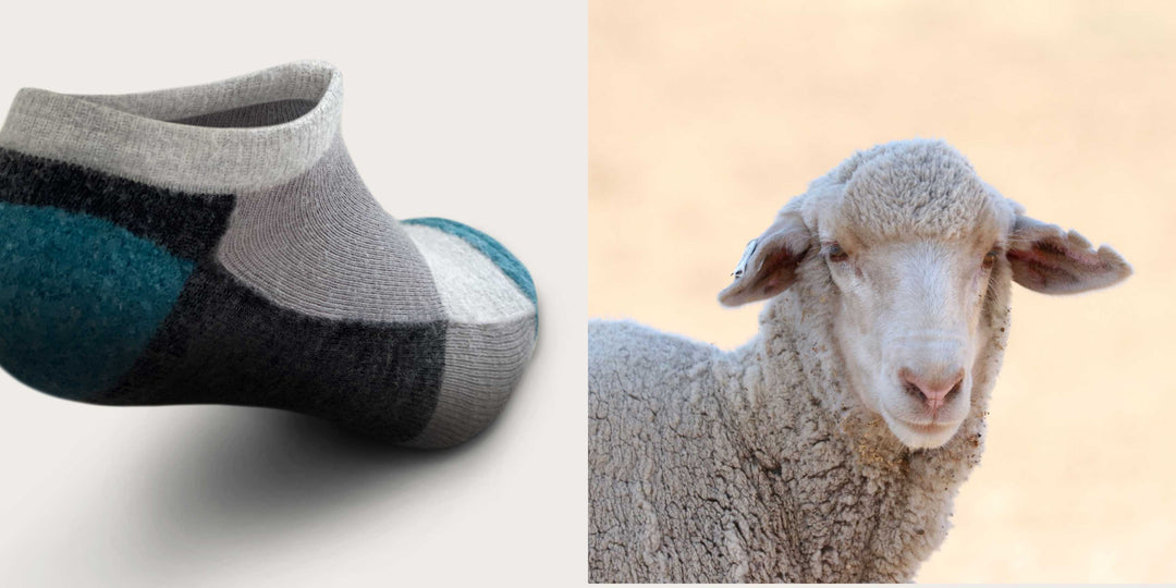 Men and Women Merino Wool