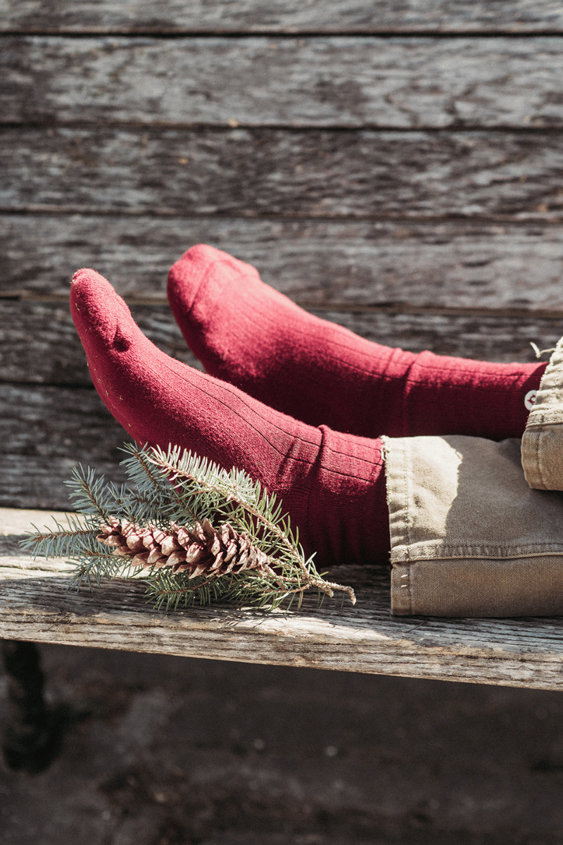 A pair of red ribbed crew socks worn with beige jeans, resting on a rustic wooden bench with pine branches and a pinecone in the foreground.