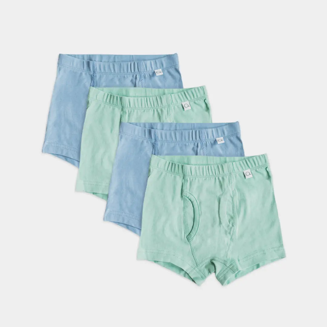 Kids 100% Organic Cotton Briefs (4-Pack)