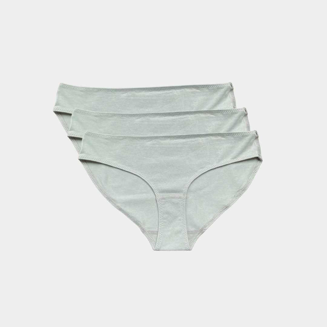 3 Pack Bikini Briefs for Womens