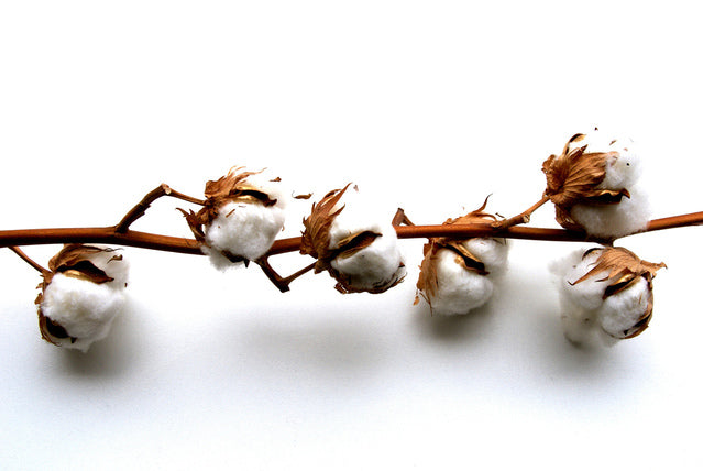 gots certified organic cotton
