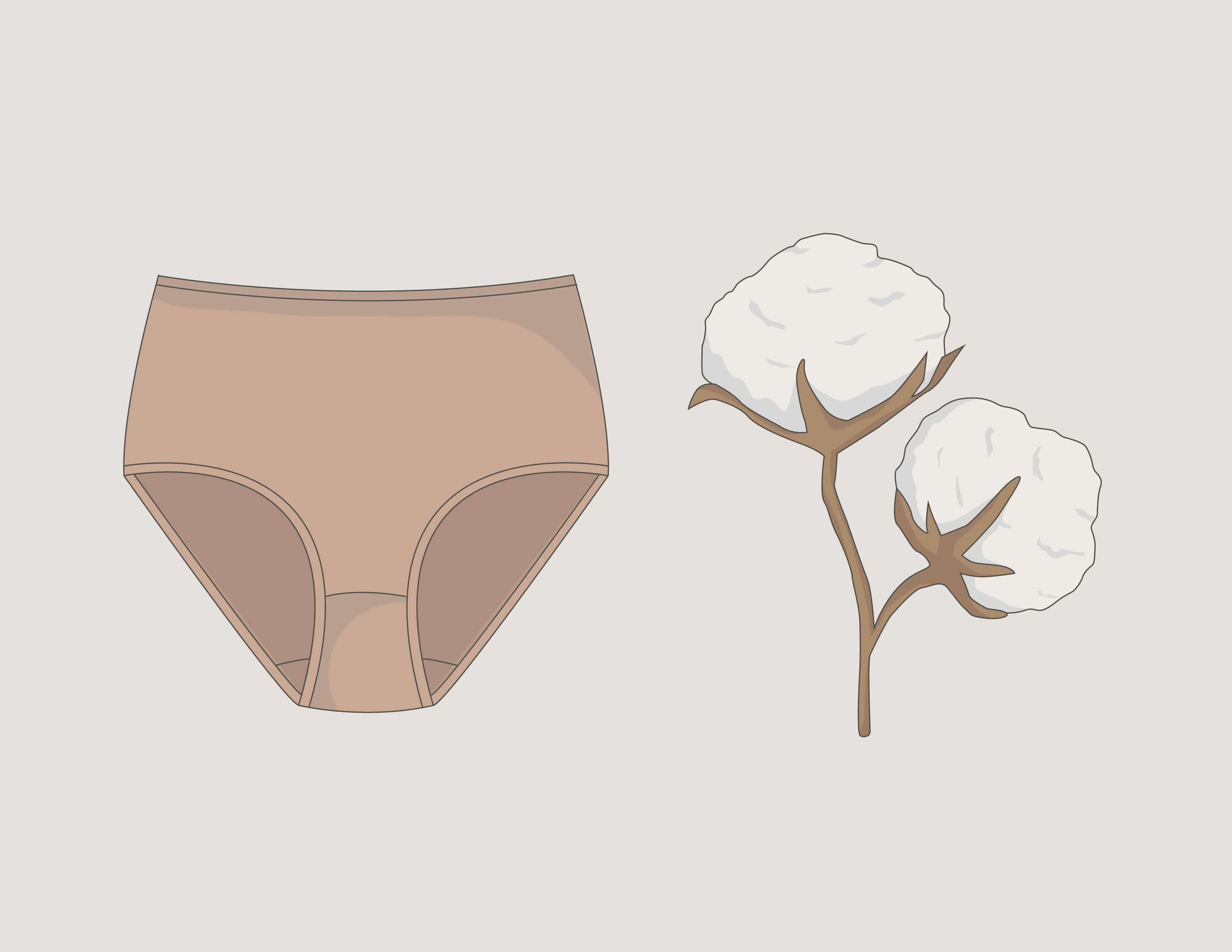 How Do Period Panties Work?