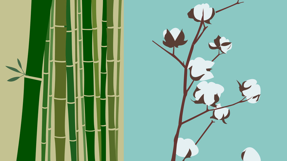 bamboo vs cotton clothing
