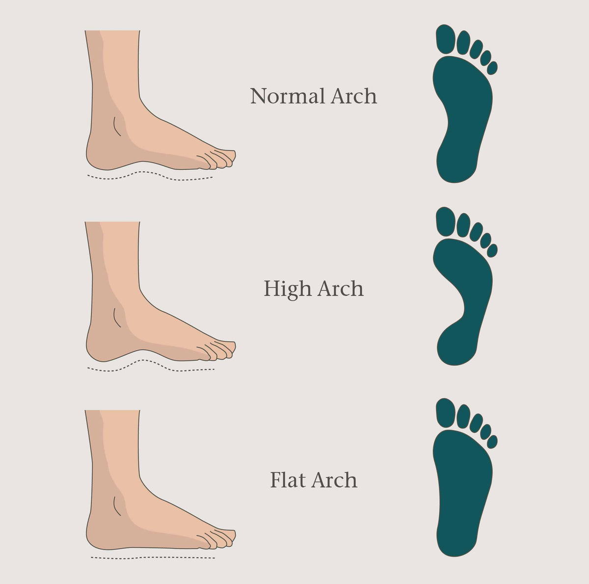 Feet. Types Types of Socks: Choose the Right Pair for Comfort & Style – Q for Quinn™