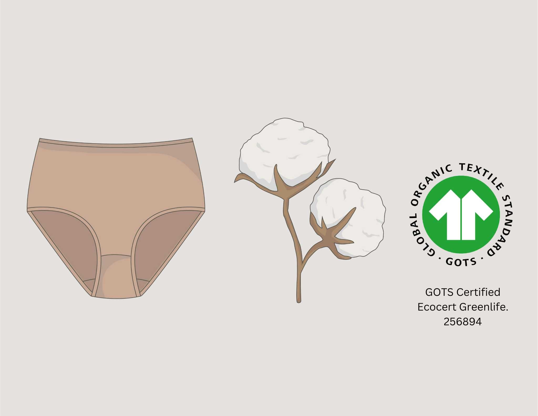 organic cotton underwear for women