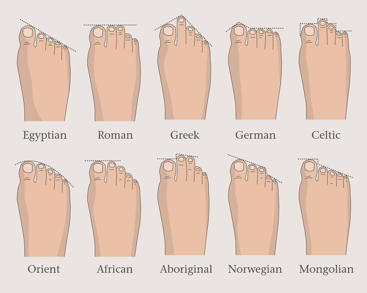 German Foot Types of Socks: Choose the Right Pair for Comfort & Style – Q for Quinn™